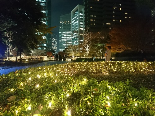 DSC_1483.jpg